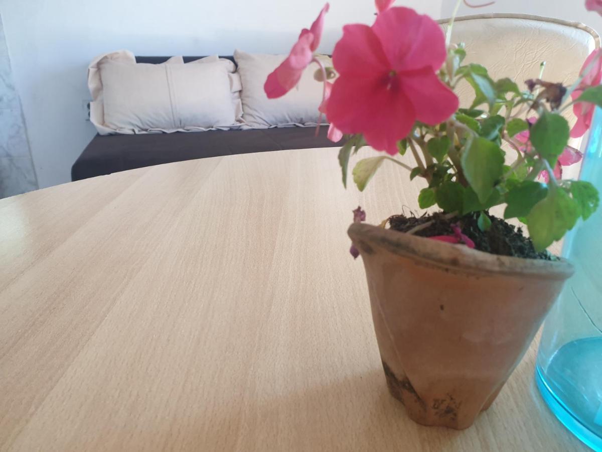 Kaluđerac Mijailovic Apartmani מראה חיצוני תמונה